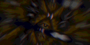 banner_3.gif