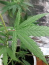 20220904_111528.jpg