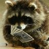 вгостях