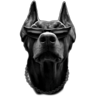 Doberpharm