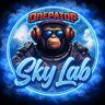 SKYLAB return