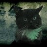 darknigthstalker2018